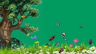Grass flowers green screen | butterflies flying green screen video | green screen flower effect
