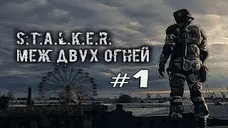 S.T.A.L.K.E.R. Меж Двух Огней #1.  Искали братьев - нашли бандитов