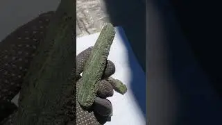 7 серпня 2024 р.