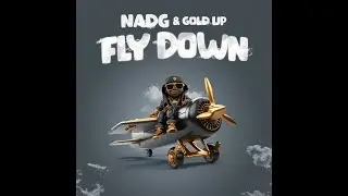 NADG & Gold Up - Fly Down (Visualizer)