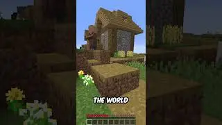Minecraft, but Every 8 seconds a village spawns