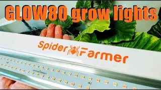 SPIDER FARMER GLOW80 LED GROW LIGHTS