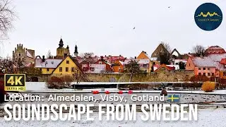 Sound of Almedalen - Visby, Gotland | Sound Of Sweden 