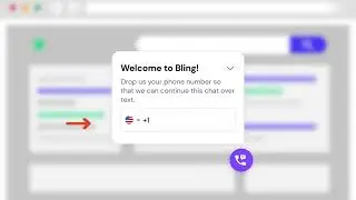 Bling Feature - Quick guide to using WebChat