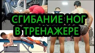 Сгибание ног лежа в тренажере с учеником и как убрать жжение с икр (Apokrif тебя прокачает #7)