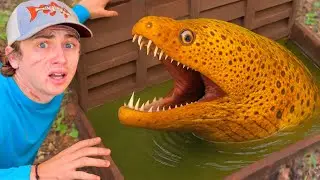 I Found a Sewer Full of Monsters!