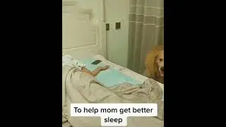 #funny  #funnymemes #funnypictures  #funnycatmemes #dog #dogsofinstagram funny Dog #doglifestyle