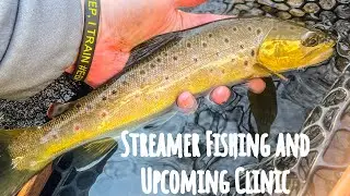 Streamer Fishing and an Upcoming Clinic
