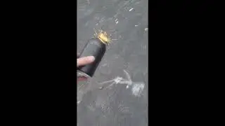 smoke bomb test [gone sexual]