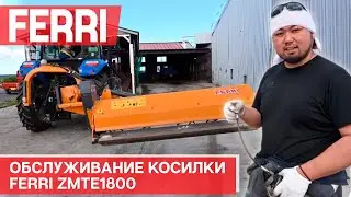 Обслуживание Ferri ZMTE1800