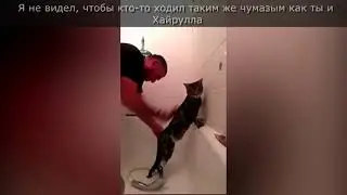 Чеченец со стойким котом покорили кавказский интернет