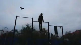 STREET WORKOUT TRAINING