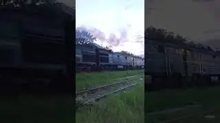 3ТЭ10М-1246А/1047А/1103А [CFM] Freight train | Грузовой поезд