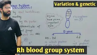 Rh blood group system | Class 12 Biology