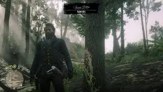 RDR2 PC | Let's edit SaveGame and REMOVE Tubercolosis to Arthur!
