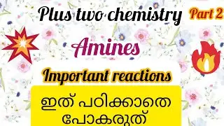 Plus two chemistry | Amines chapter | important reactions | exam special | malayalam | 2023