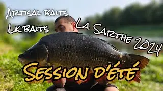 LA PÊCHE DE LA CARPE : LA SARTHE AOÛT 2024 #carpfishing #fishingvideo #2024
