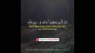 Сура аль Бакара  ( Корова ) , аяты 261-262 с переводом на русский язык. Чтец Мухаммад аль Люхайдан