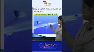 Why Sharks are afraid of Dolphins?