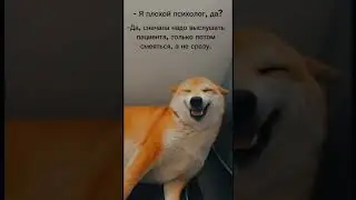 Бывают и смешные моменты