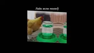 Моя телега - Rabyth_Gang | #like #shirts #youtube #reccomends #brawlstars #bs #brawl #прикол