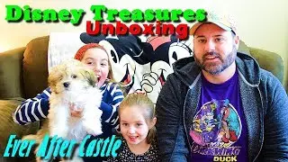 Disney Treasures 'Ever After Castle' Unboxing :: February 2018 :: Funko Powered