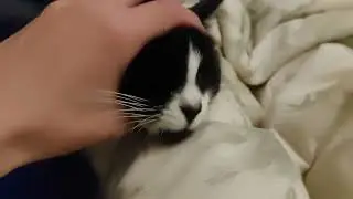 she was a good girl