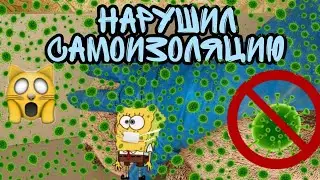 КОРОНАВИРУС?! Что будет если нарушить самоизоляцию?/Ананастя и Басик