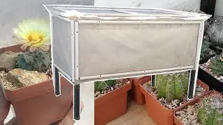 ¿Los INVERNADEROS del FUTURO!