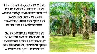 Rôle et Importance capital du DéZAN ou «Rameau de Palmier à Huile» dans le Vodoun.