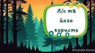 Заняття "Ліс та його користь"