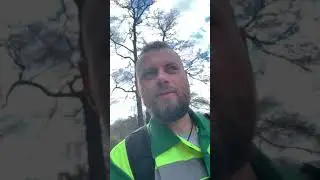 Царицыно. Заповедник. Природа. Лебеди