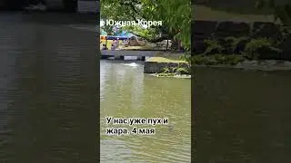 Южная Корея . Уже лето - 4 мая 😁 