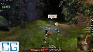 Guild Wars 2 Raid PVE Vale Guardian Guerrero