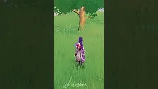 CHEST YOU MISSED IN TEYVAT PART 14 