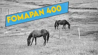 fotografia analógica com Fomapan 400