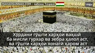 Хӯрдани гӯшти харҳои ваҳшӣ ба мисли гурхар ва зебра ҳалол аст, ва гӯшти харҳои хонагӣ ҳаром аст   إب