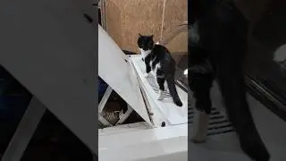 Типичная ситуация при продаже машины)