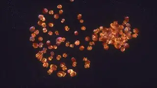 Motion Design Particle Collision in UE 5.5