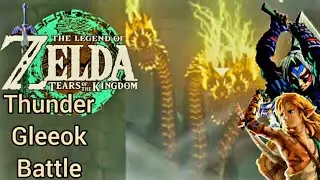 Zelda Tears of The Kingdom[JP Dub] Thunder Gleeok Battle