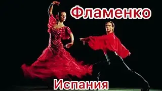Фламенко. Барселона. Испания.