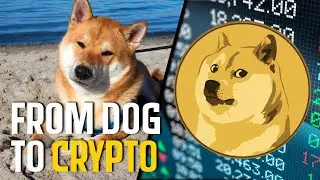 What Is Dogecoin Cryptocurrency (Don't Ignore this Elon Musk Tweet)