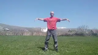 Վու-դան հինգ կենդանիներ