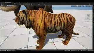 Thuy Fur demo