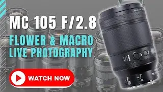 Flower Photography with Nikon's Best Macro Lens is a Dream!