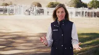NSW Agrifood Industry - Agtech
