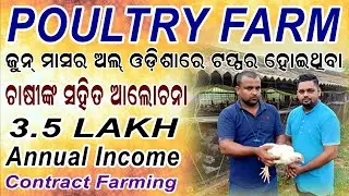 Kukuda Chasa Odisha //  କୁକୁଡ଼ା ଚାଷୀଙ୍କ ସହିତ ସାକ୍ଷାତକାର