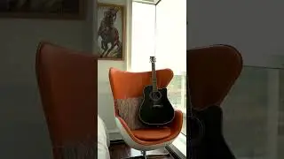 Discover the magic of Zager Guitars!