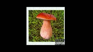 SHALDIN - БОРОВИК (Премьера 2020)