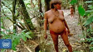 Inhabitants of the Amazon jungle (Tribes) - Part 4